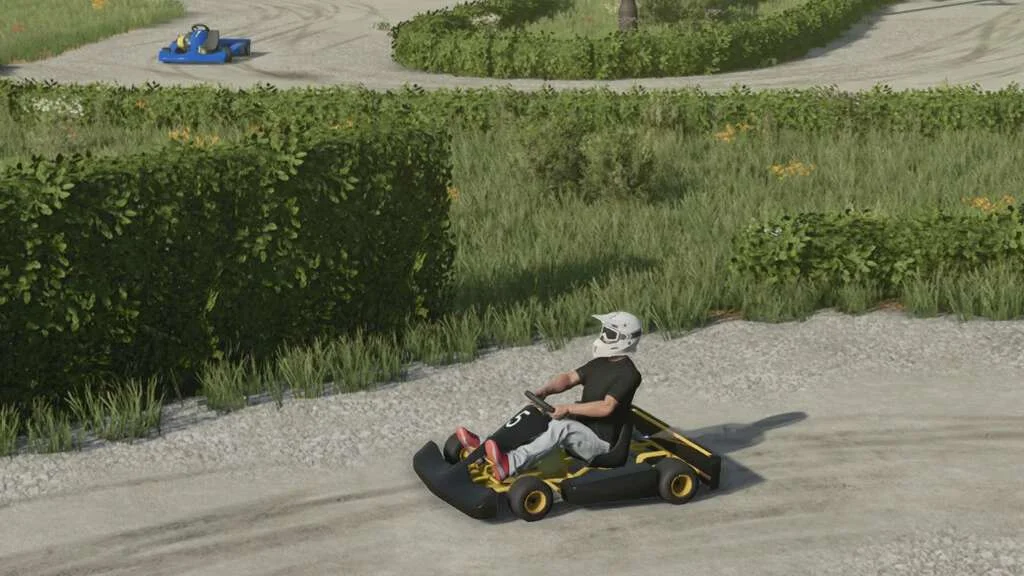 Lizard Kart v1.0 FS22 FS22 Mod Free Download