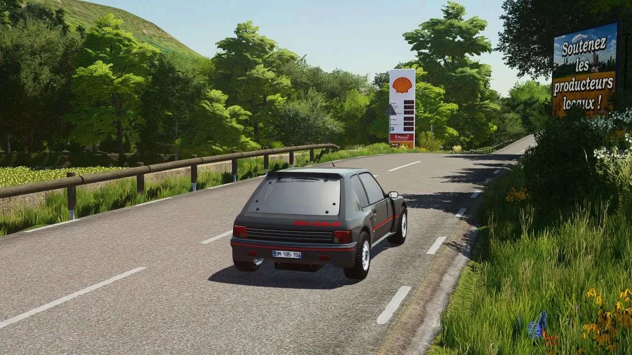 Peugeot 205 T16 Series 200 v1.0 FS22 FS22 Mod Free Download