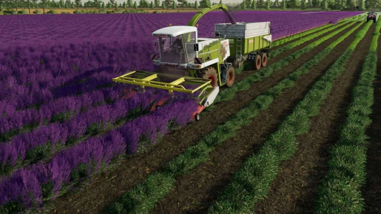 CLAAS Lavender Header Bar v1.0 FS22 FS22 Mod Free Download