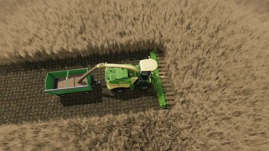 Collect 900 For Sugarcane And Poplar v1.0 FS22 FS22 Mod Free Download