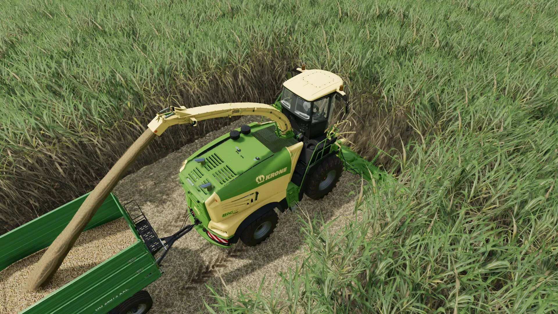 Collect 900 For Sugarcane And Poplar v1.0 FS22 FS22 Mod Free Download