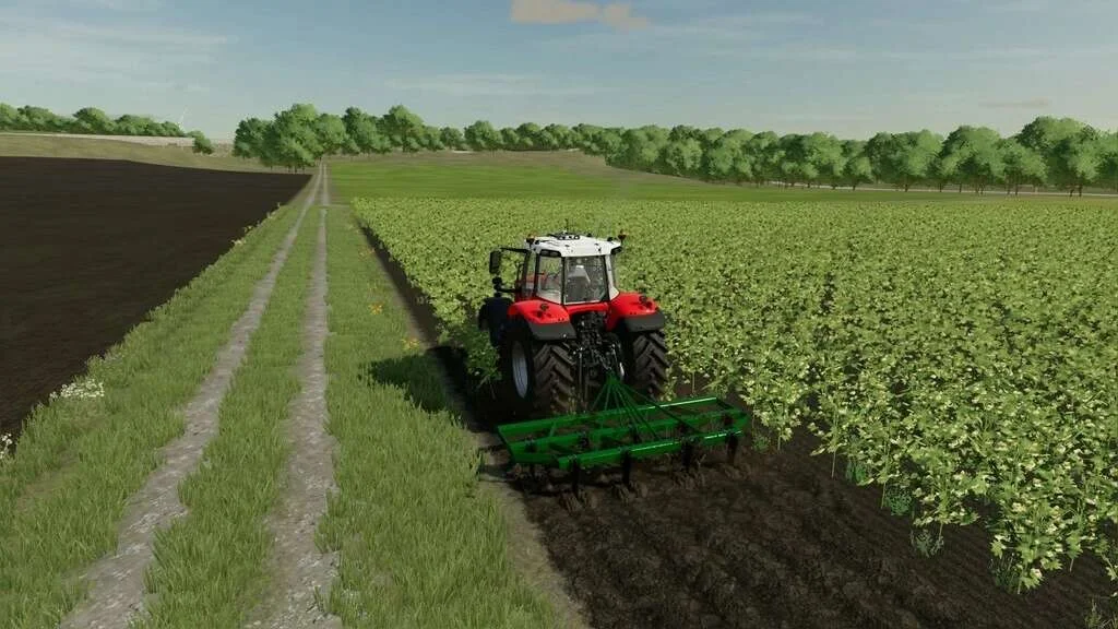Lizard SR Series v1.0.1 FS22 FS22 Mod Free Download