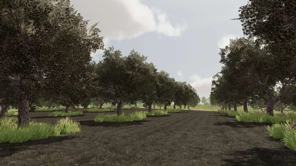 Olives + Olive Picker v1.0 FS22 FS22 Mod Free Download