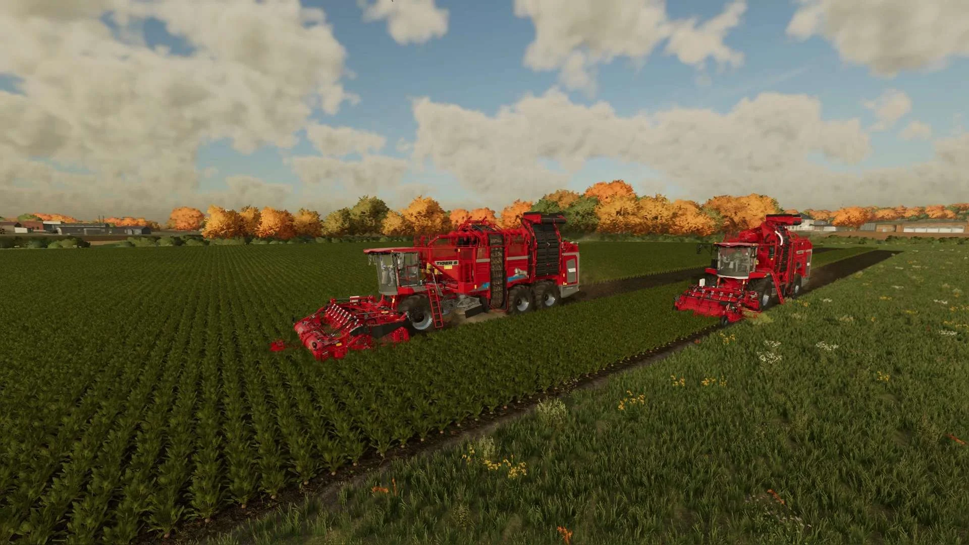 Root Crops Plus v1.0 FS22 FS22 Mod Free Download