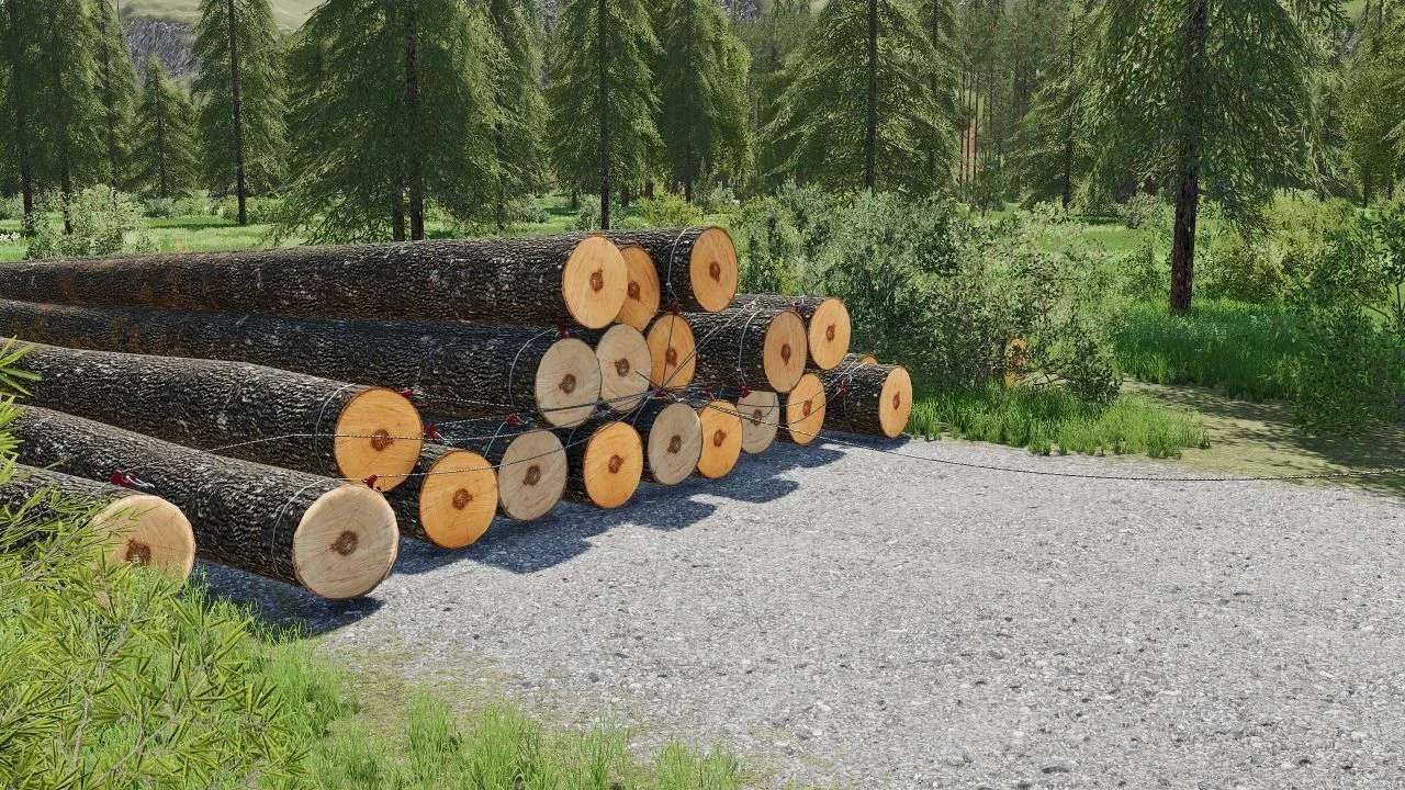 TAJFUN 80T v1.0 FS22
