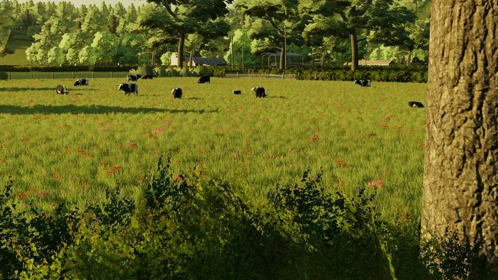 BallySpring Map v1.2 FS22 FS22 Mod Free Download