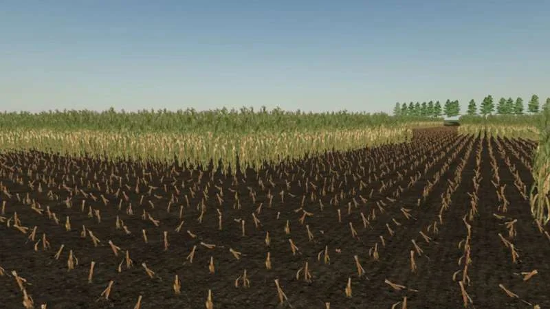 Corn maze v1.0 FS22 FS22 Mod Free Download