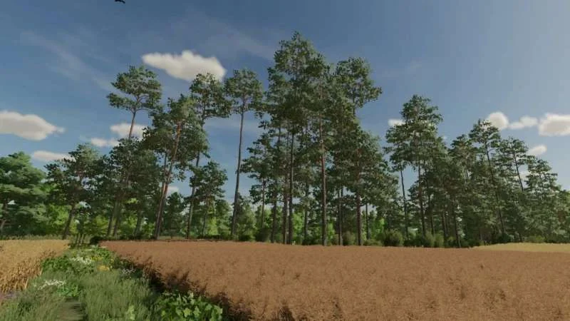 DOLINA v1.0 FS22 FS22 Mod Free Download