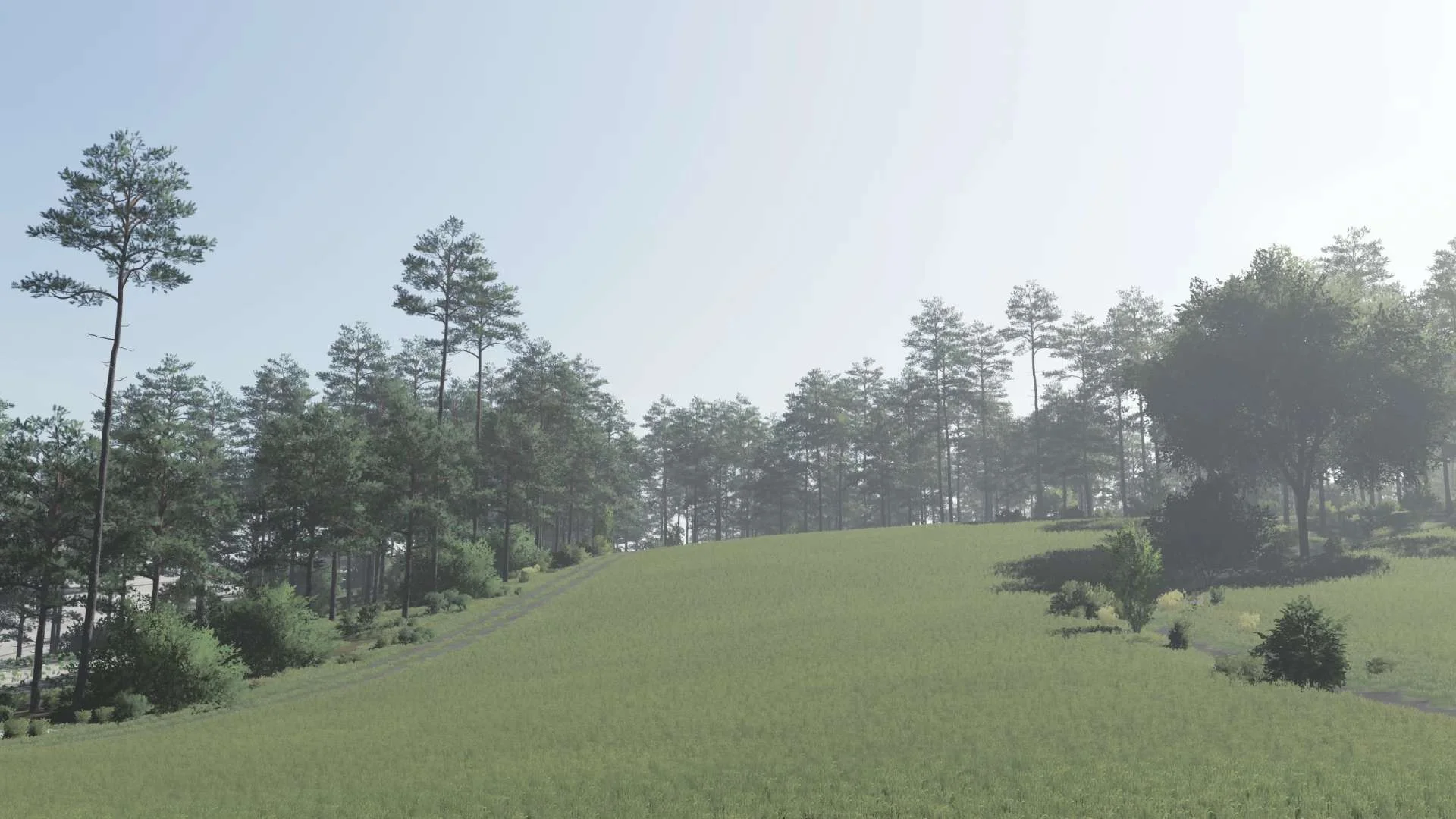Dzika Dolina v1.0 FS22 FS22 Mod Free Download