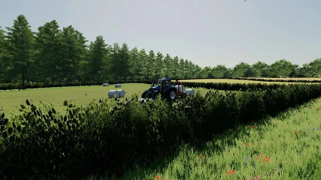Ebony Island v1.3 FS22 FS22 Mod Free Download