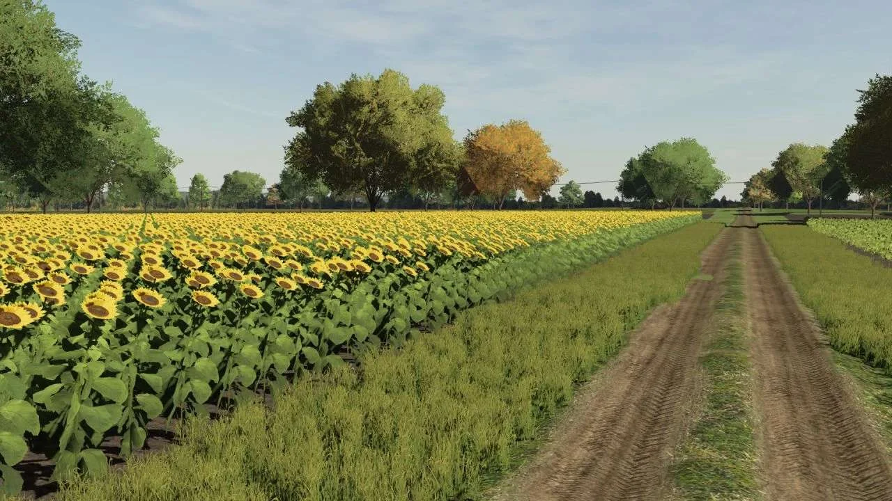 Erdevik Map 2022 v1.0 FS22 FS22 Mod Free Download