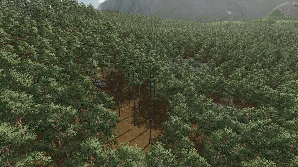 Forest Challenge v1.0.0.1 FS22 FS22 Mod Free Download