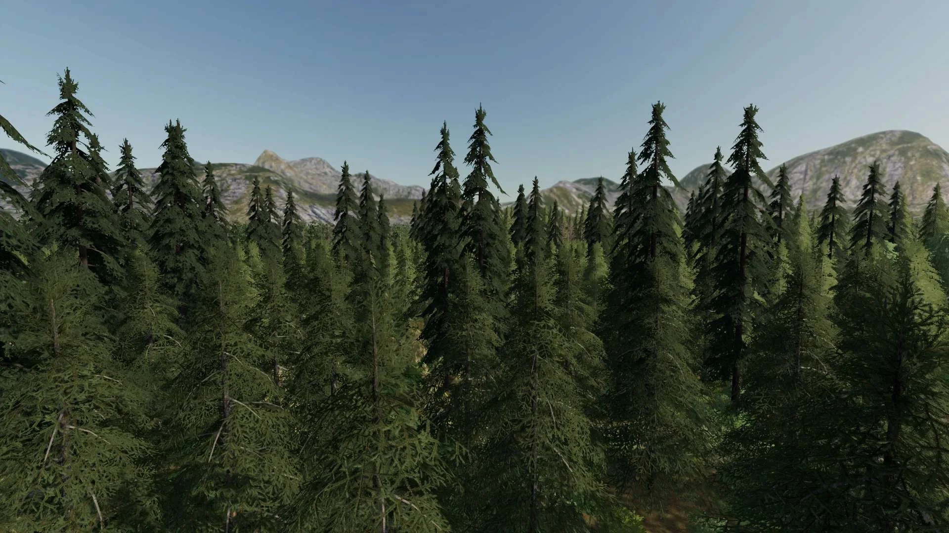 Forest Valley v1.0 FS22 FS22 Mod Free Download