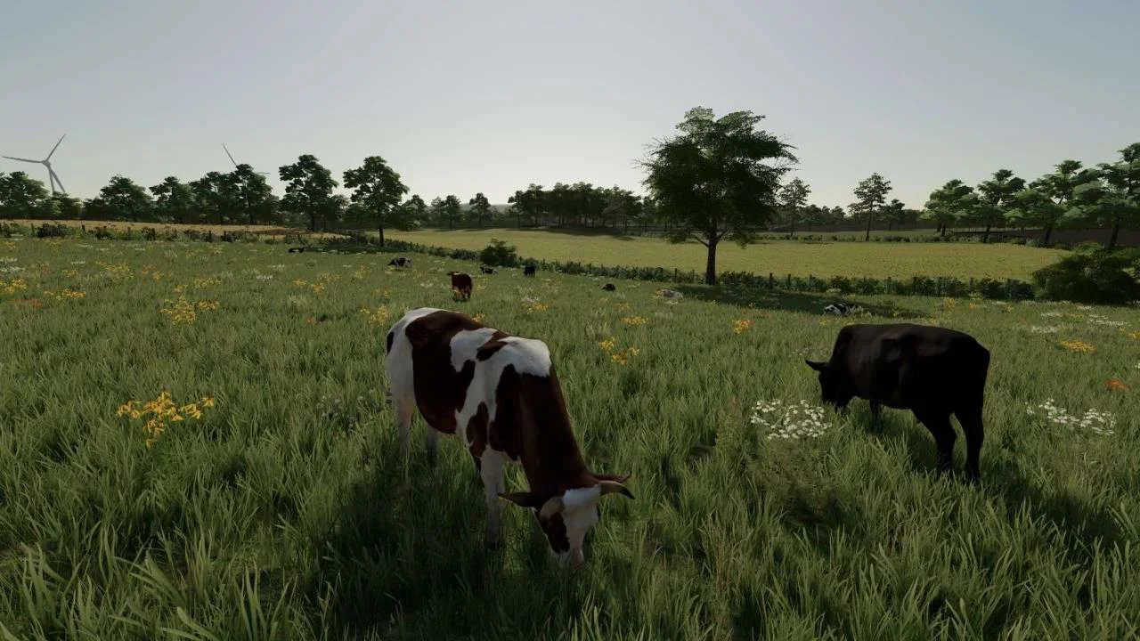 Le Petit Ouest v1.1 FS22