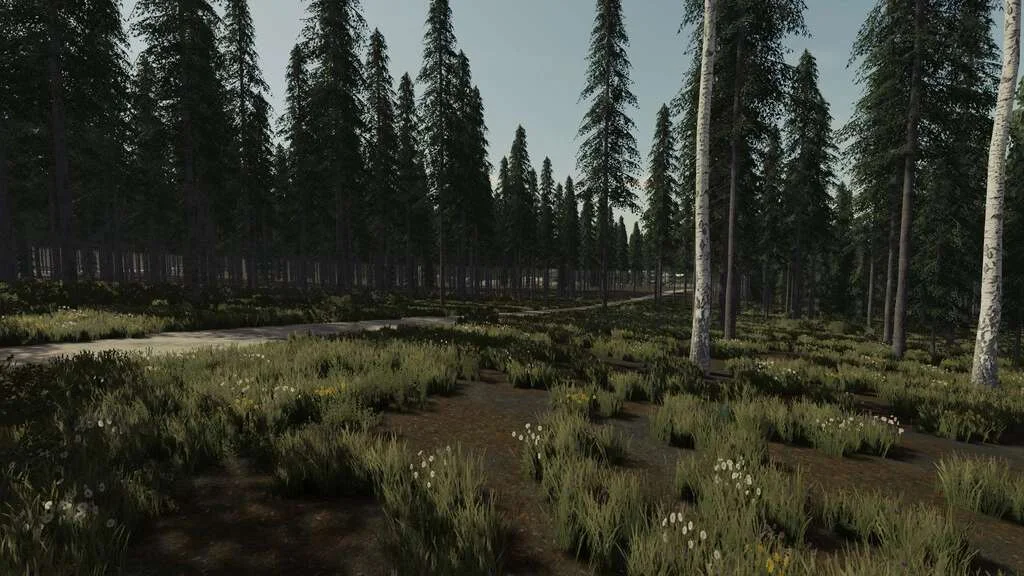 Ocean Side Forest v1.0 FS22 FS22 Mod Free Download