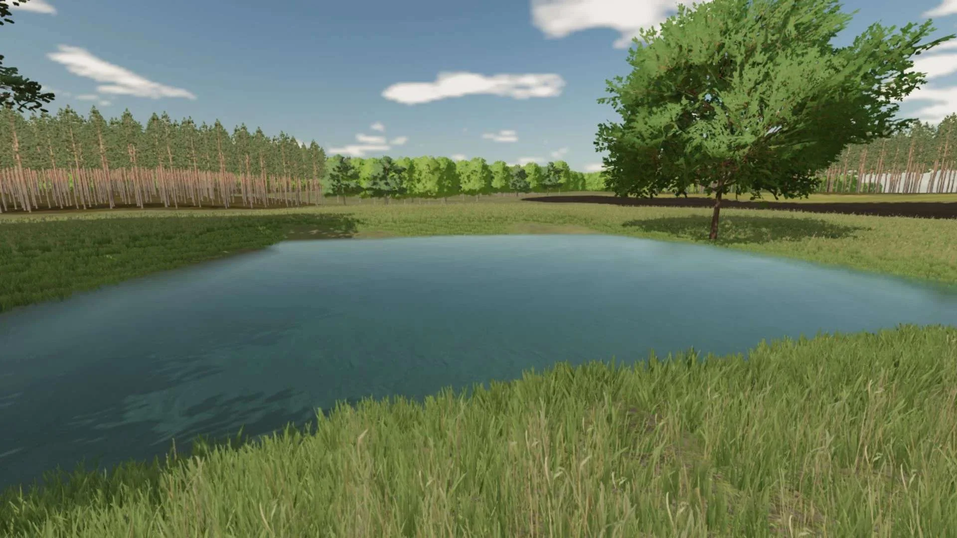 Piony Map v1.0 FS22