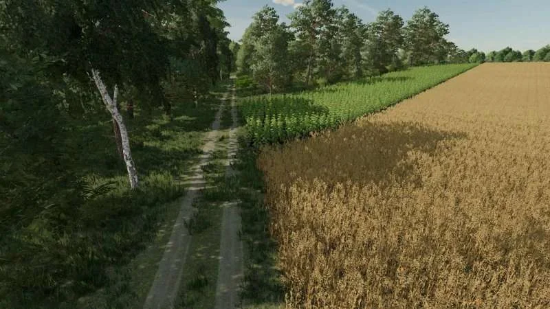 Rolnik sam w dolinie Ostateczna v2.0 FS22