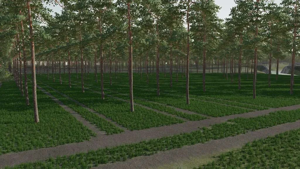 The Plantation v1.0 FS22 FS22 Mod Free Download
