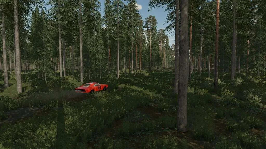 The Rainy Woods v1.0 FS22 FS22 Mod Free Download