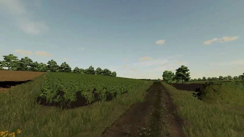Wielmoża Map v1.0 FS22 FS22 Mod Free Download