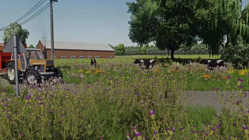 Witowek Map v1.0 FS22