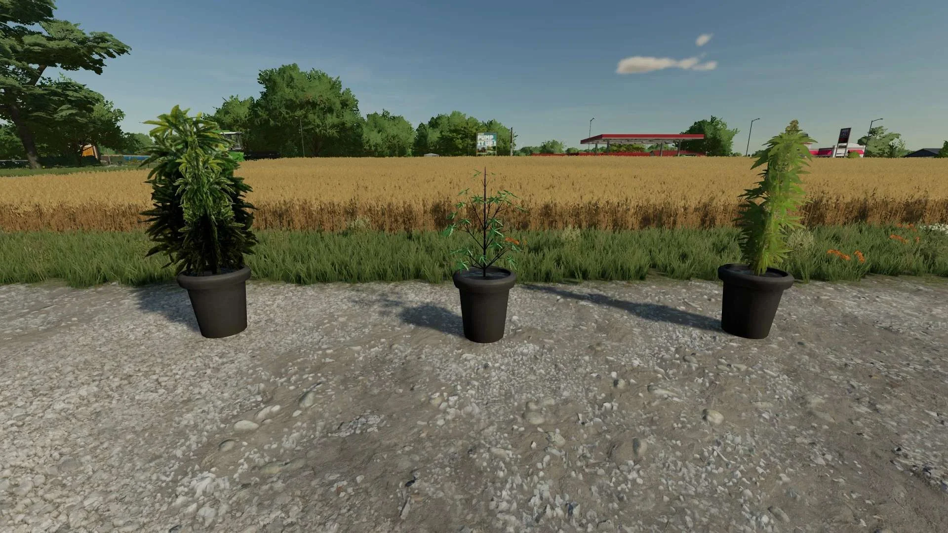 Cannabis Plants Pack v1.0 FS22 FS22 Mod Free Download