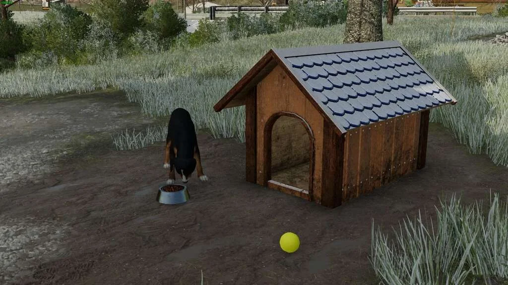 Fancy Doghouse v1.0 FS22