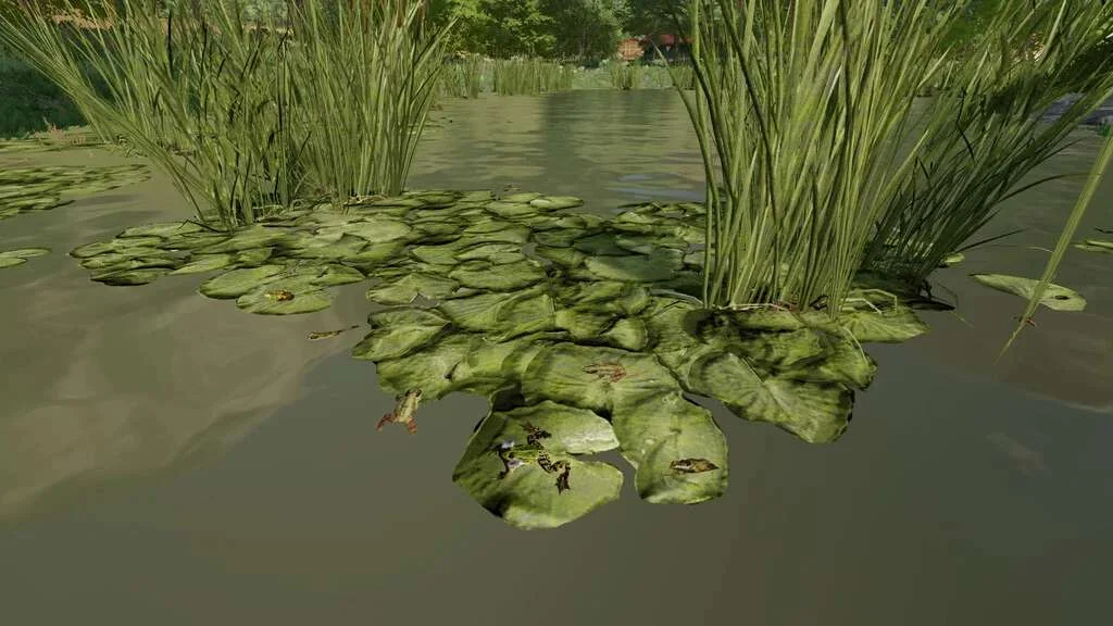 Frogs For Pond v1.0 FS22