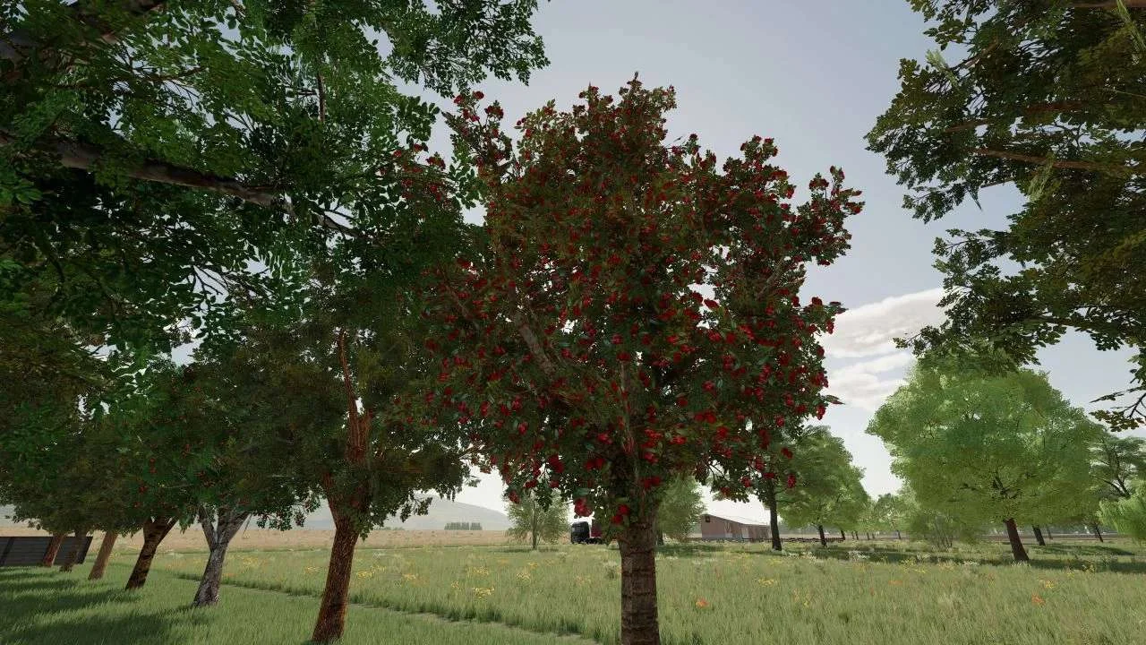 Orchards Fruits v1.0 FS22