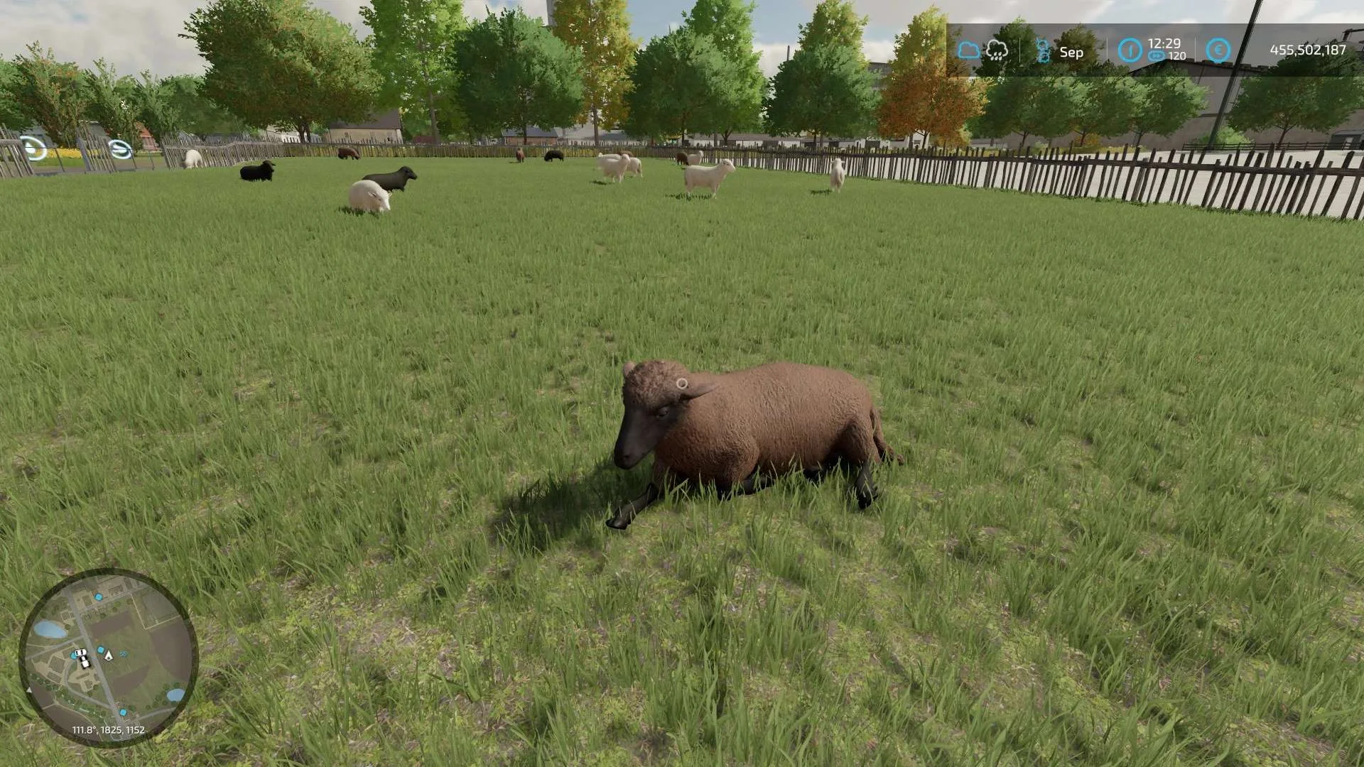 Sheep Barn XXL v1.0 FS22 FS22 Mod Free Download