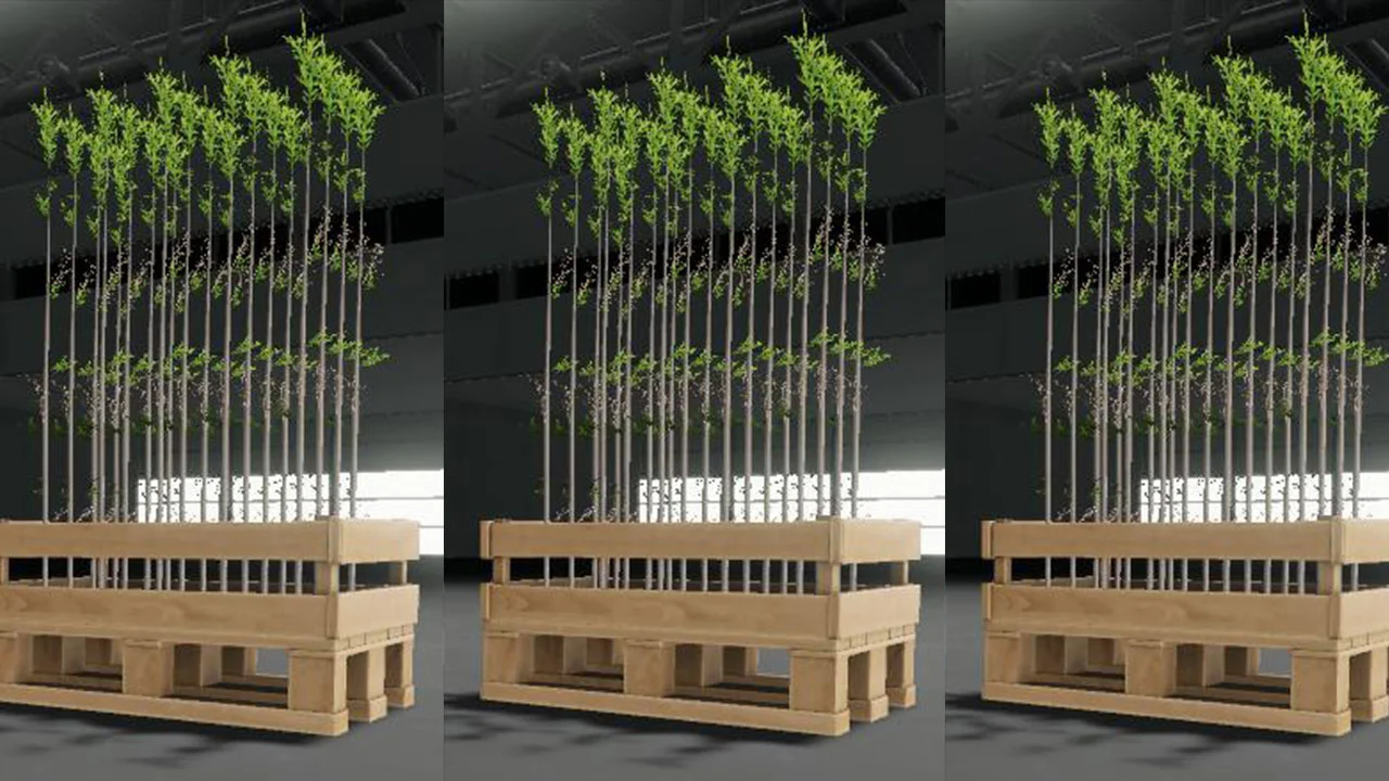 Tree Saplings Pallet 50x V1.0 FS22 FS22 Mod Free Download