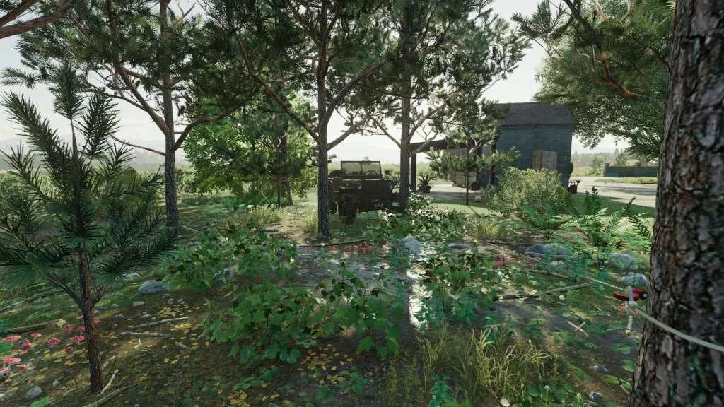Undergrowth Decorations v1.0 FS22
