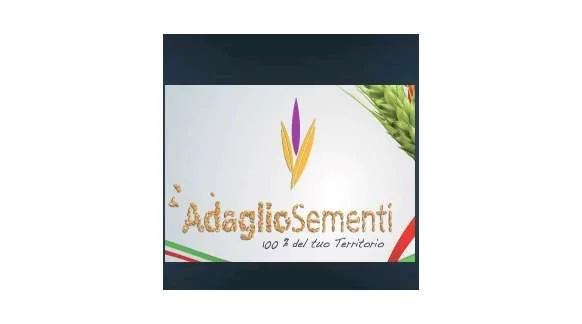 Adaglio Sementi Seed v1.0 FS22 FS22 Mod Free Download