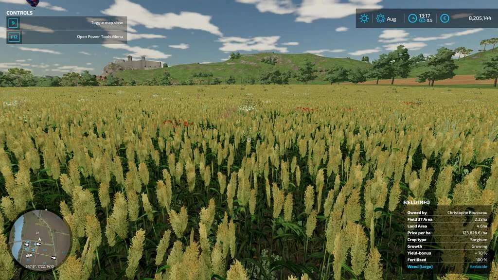 Additional Field Info v1.0.2 FS22 FS22 Mod Free Download