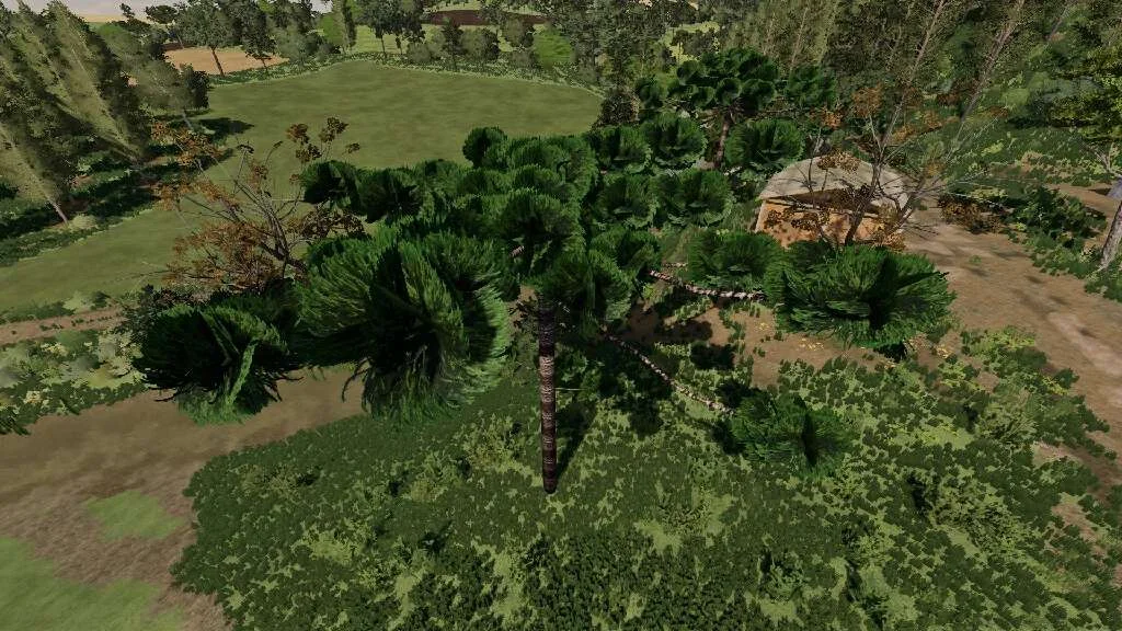 Araucarias v1.0 FS22