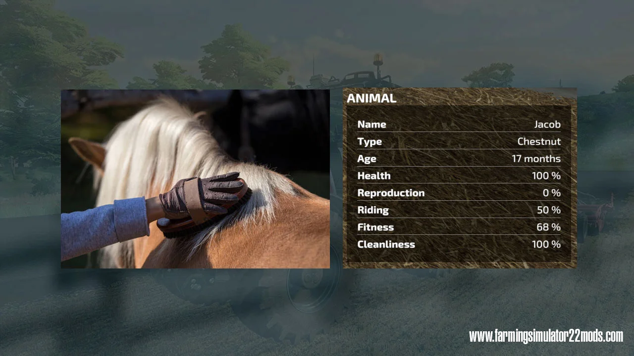 Auto Brush Horses v1.0 FS22 FS22 Mod Free Download