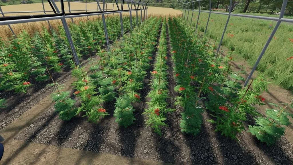 BIO Greenhouses v1.0 FS22