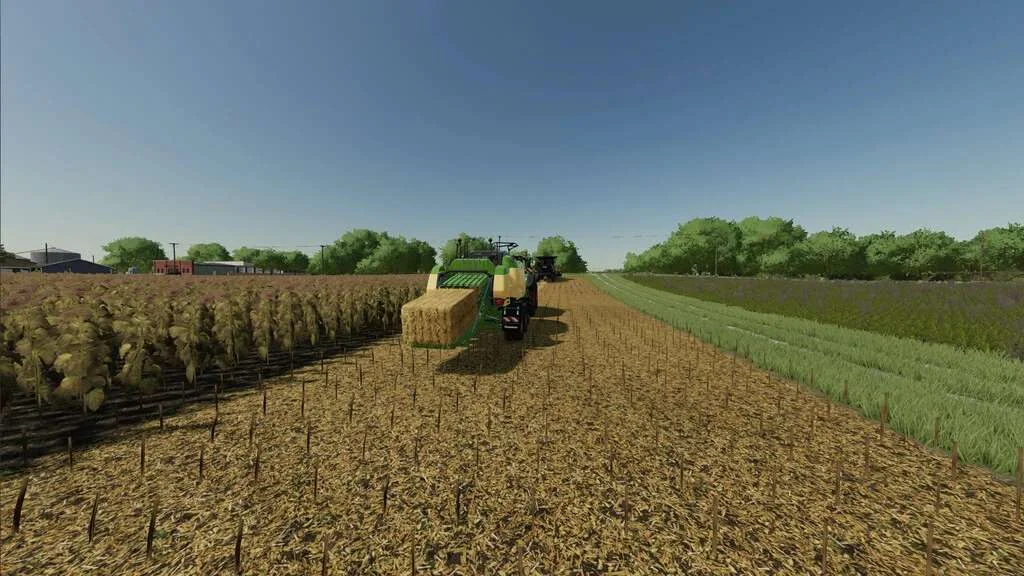 Extended Straw Crops v1.0 FS22 FS22 Mod Free Download