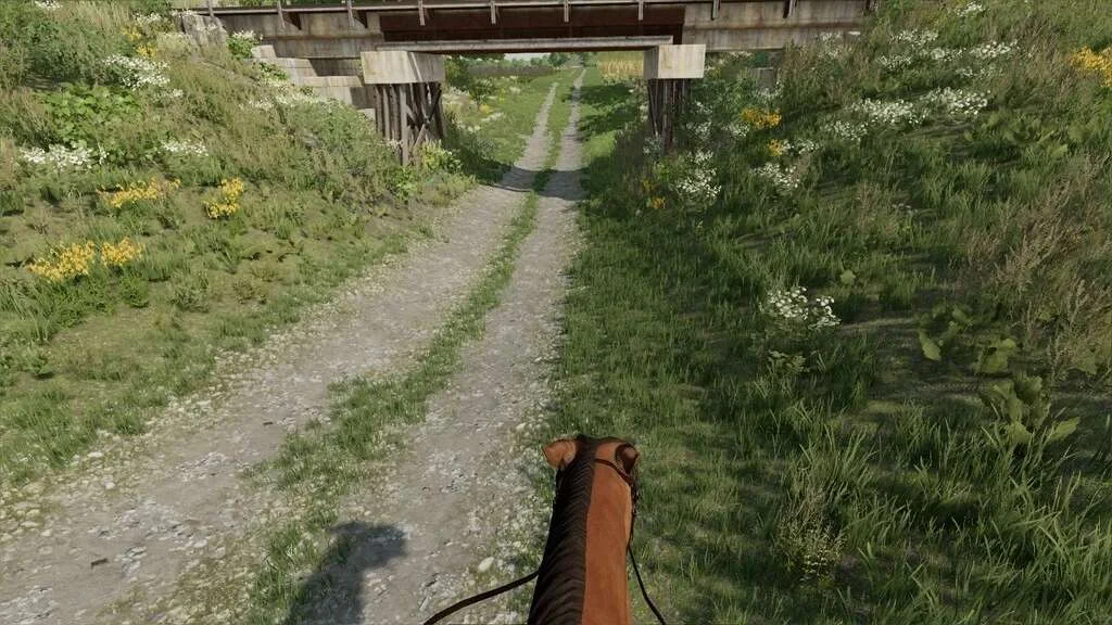 First Person Horse Riding Camera v1.0 FS22 FS22 Mod Free Download