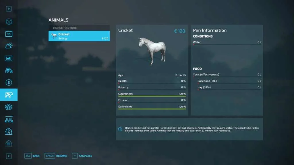 Horseman v1.0 FS22 FS22 Mod Free Download