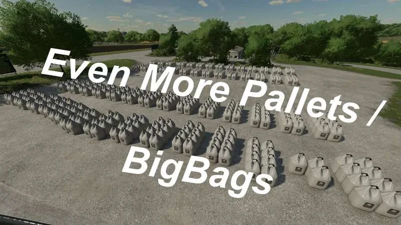 More Pallets Fix v1.0 FS22 FS22 Mod Free Download