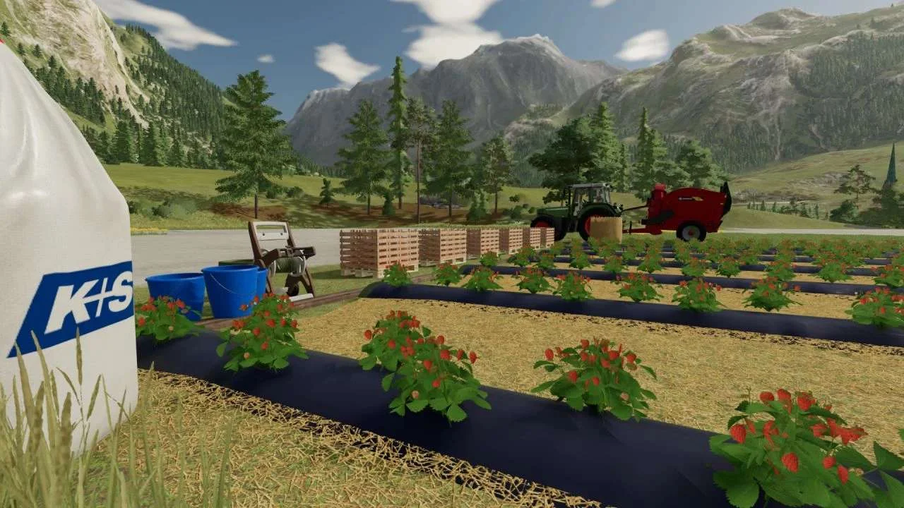 Open field strawberries v1.0 FS22 FS22 Mod Free Download
