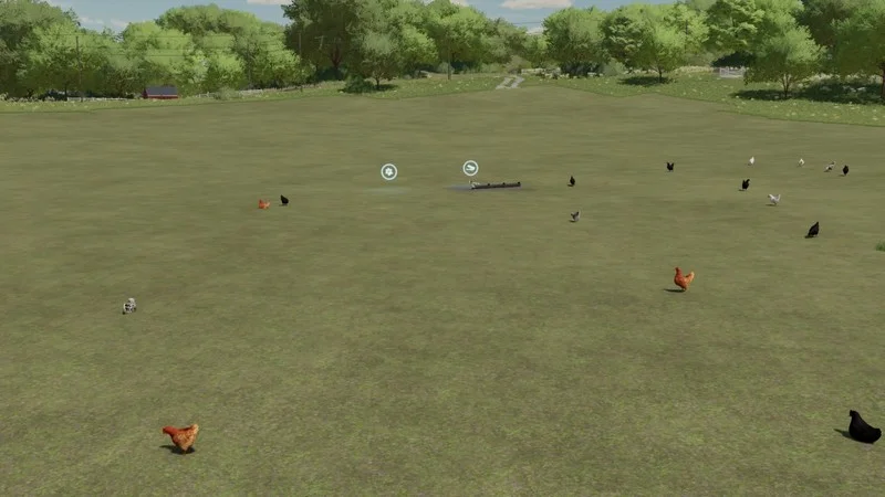 Outdoor chicken breeding V1.0 FS22 FS22 Mod Free Download