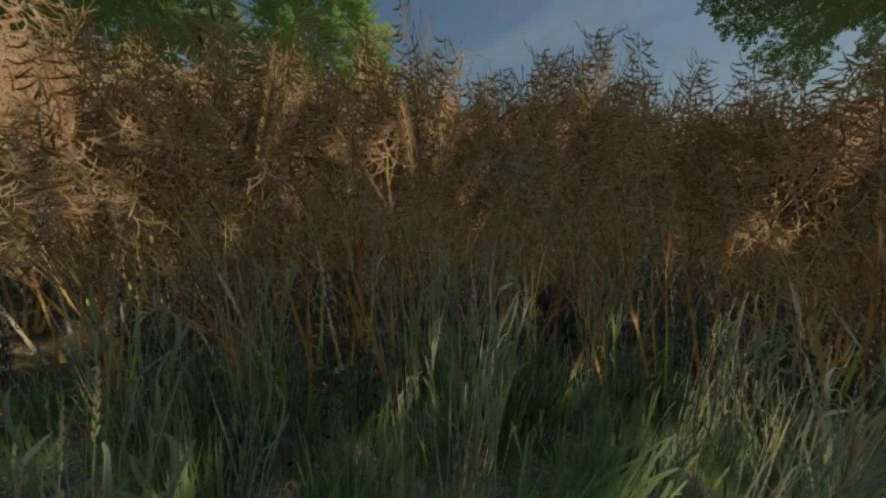 Realistic Canola Growth v1.1 FS22