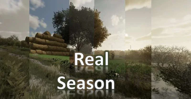 RealSeason v1.0 FS22 FS22 Mod Free Download