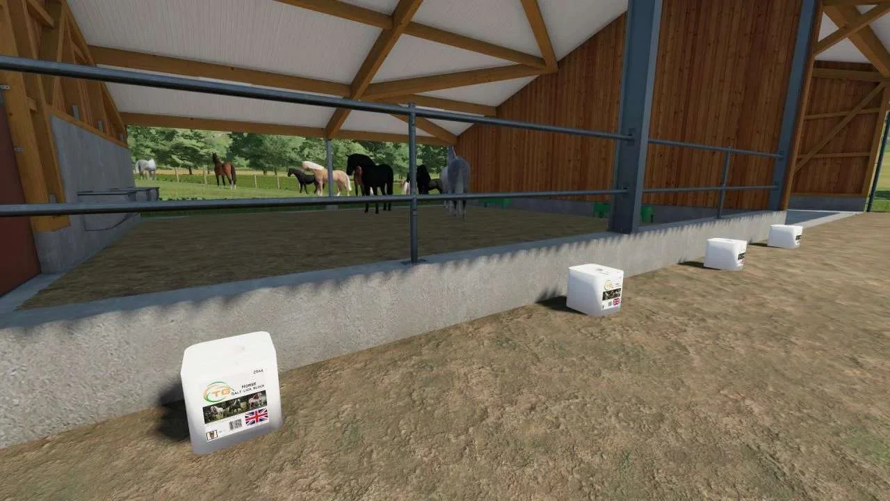 Salt Lick Blocks v1.1 FS22