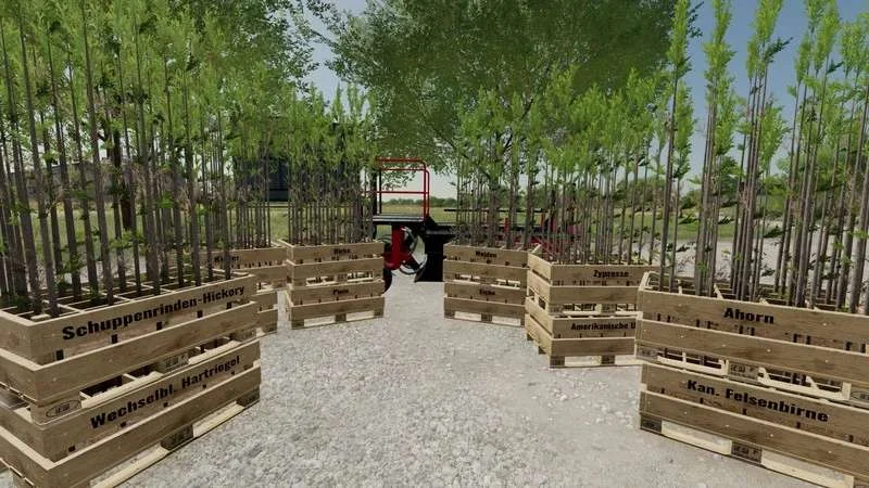 Tree Planting Pack v1.0 FS22 FS22 Mod Free Download