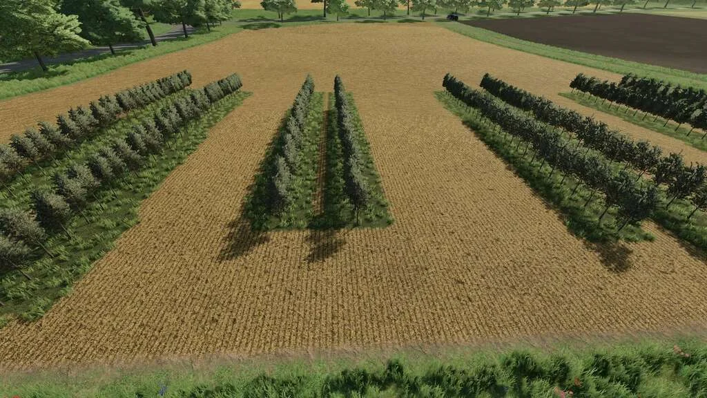 Variable Olivevine Widths v1.0 FS22 FS22 Mod Free Download