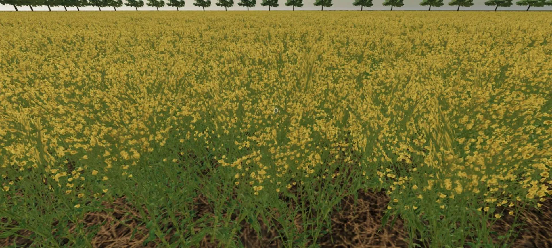 Walnut Farm v1.0 FS22 FS22 Mod Free Download