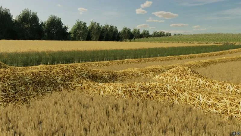 Wide swaths of straw v1.0 FS22 FS22 Mod Free Download